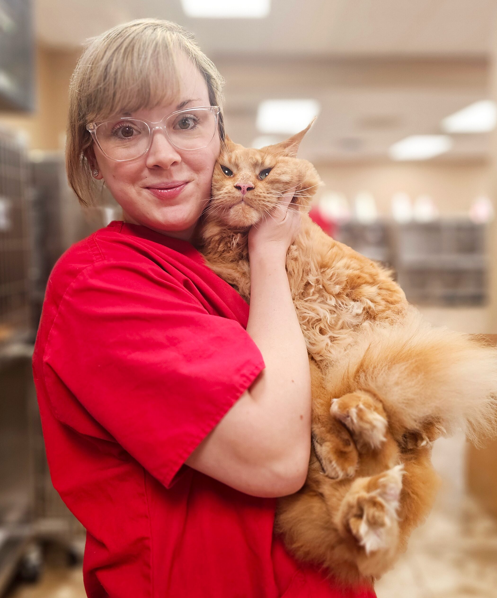 Low Cost Pet Vaccinations Near Poolville, TX