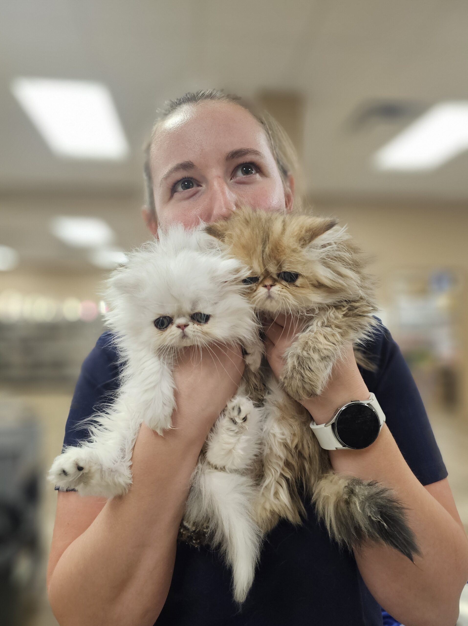 Low Cost Pet Vaccinations Near Josephine, TX