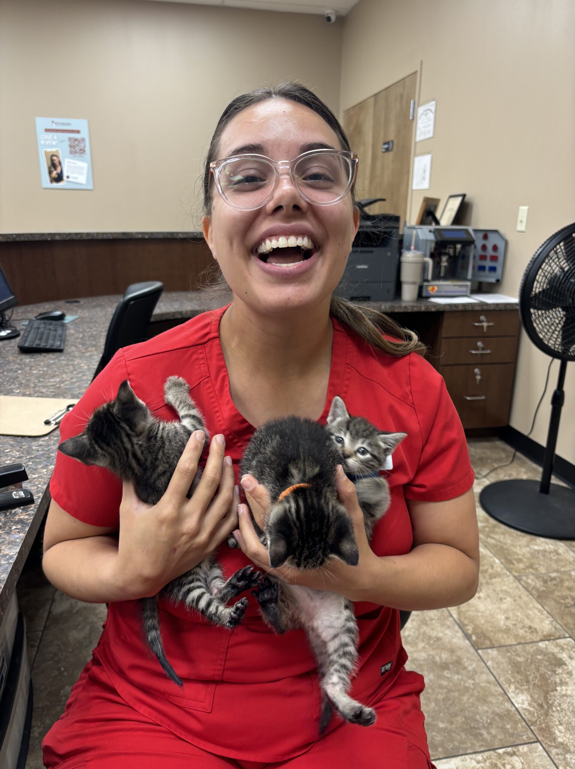 Low Cost Spay & Neuter Near Addison, TX