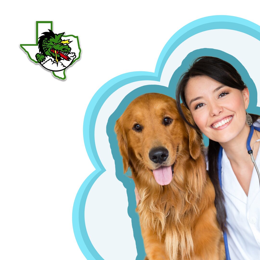 Low Cost Pet Vaccinations Near Southlake, TX