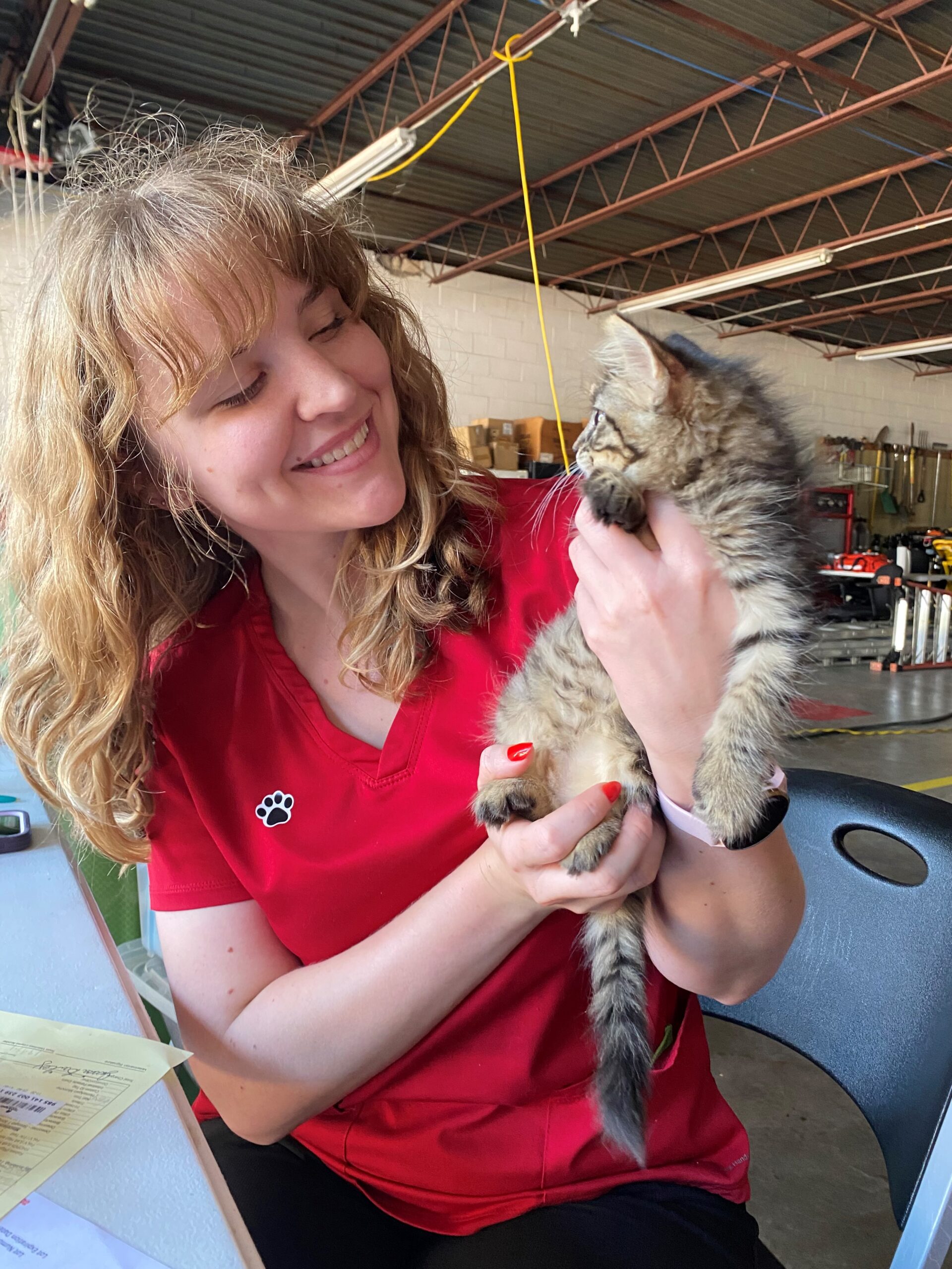 Low Cost Pet Vaccinations Near Fate, TX