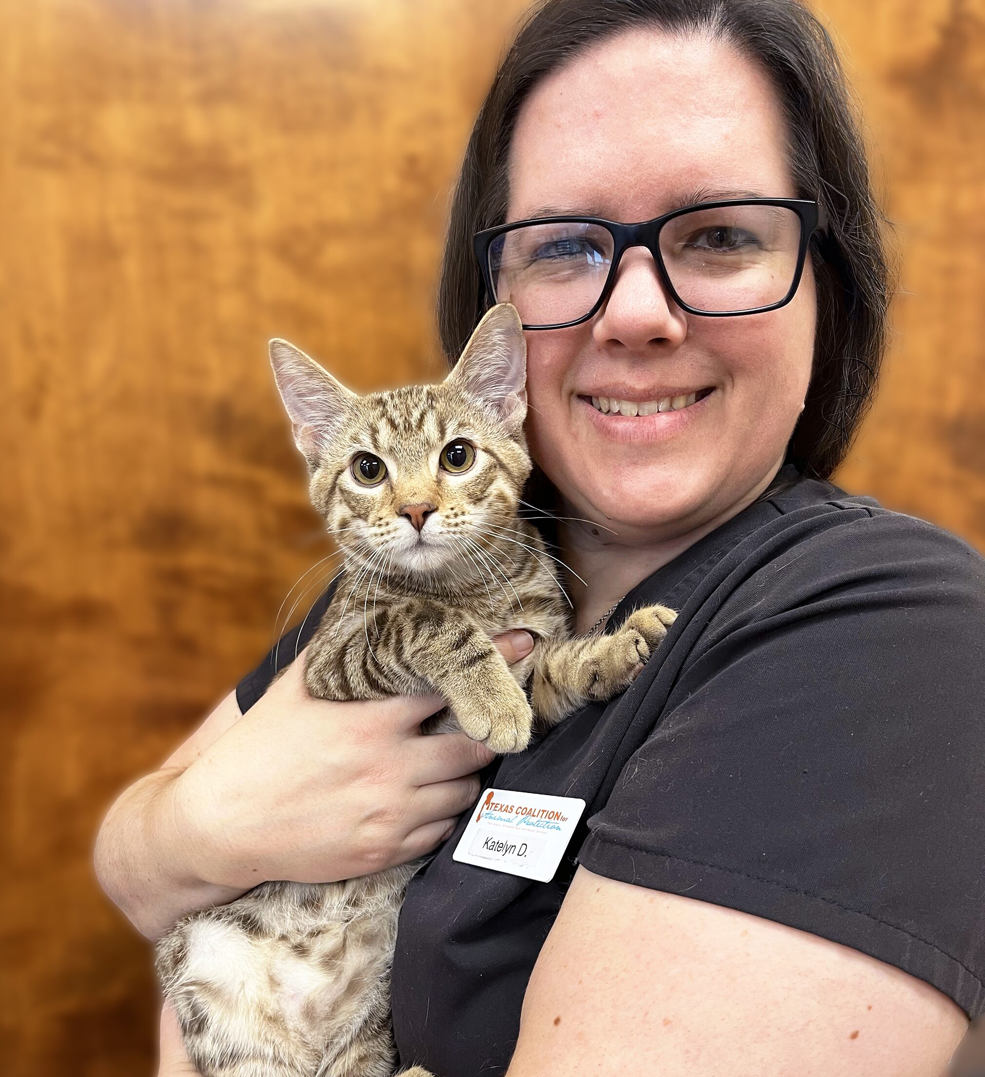 Low Cost Spay & Neuter Near Whitt, TX