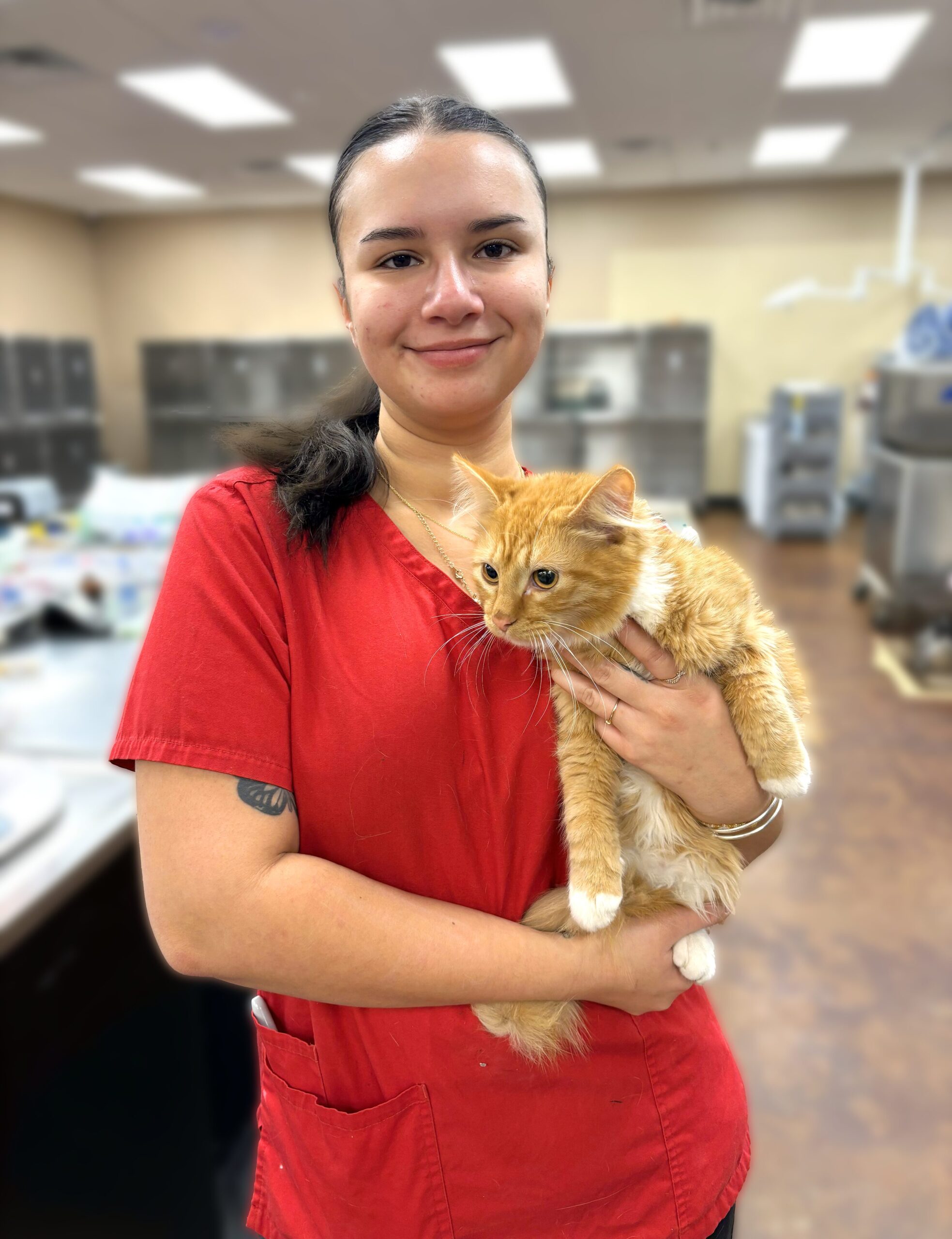 Affordable Cat Spay & Neuter Near Keller, TX